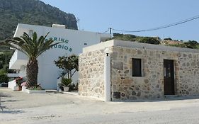 Spring Studios